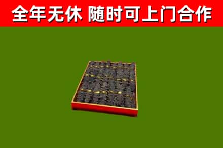新龙回收海参